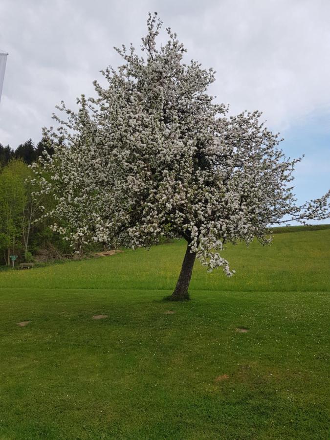 Berg Hotel Weingarten Garni Rimsting Exteriör bild